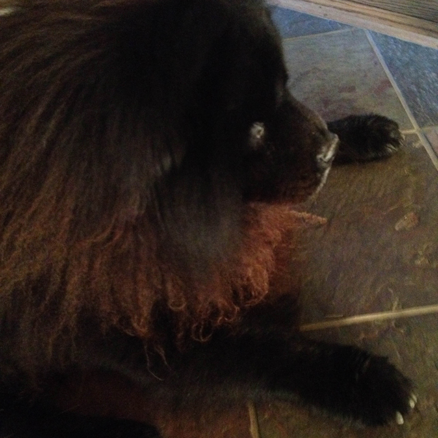 Three Stages of Zeus